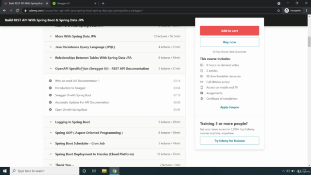 Build REST API with Spring Boot & Spring Data JPA – Screenshot 3