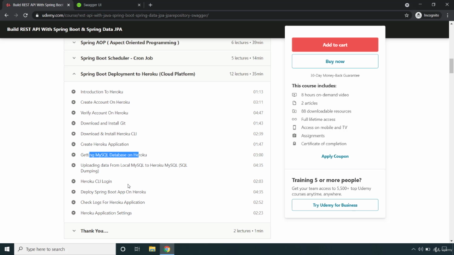 Build REST API with Spring Boot & Spring Data JPA – Screenshot 4