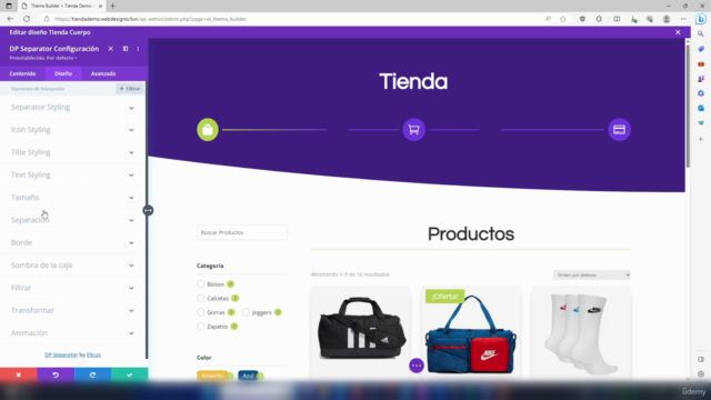 Crea tu tienda en línea profesional con WordPress y Divi – Screenshot 3