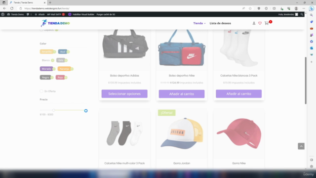 Crea tu tienda en línea profesional con WordPress y Divi – Screenshot 4