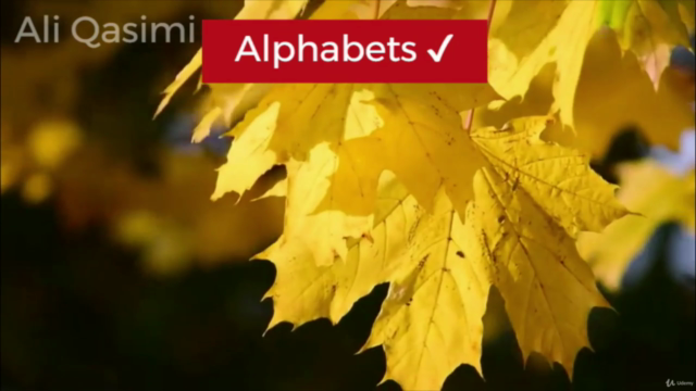 Mastering Farsi (Dari) - From Alphabet to Daily Conversation – Screenshot 1
