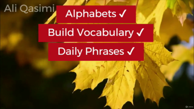 Mastering Farsi (Dari) - From Alphabet to Daily Conversation – Screenshot 2