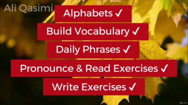 Mastering Farsi (Dari) - From Alphabet to Daily Conversation – Screenshot 3