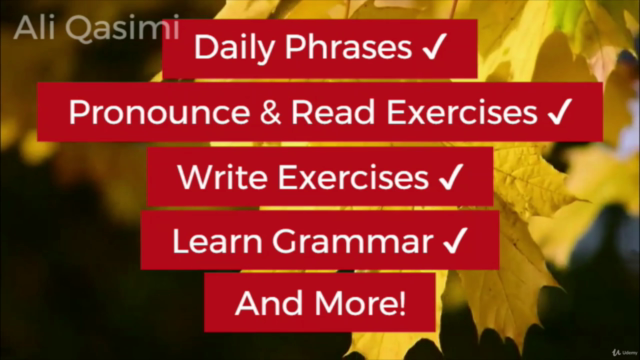 Mastering Farsi (Dari) - From Alphabet to Daily Conversation – Screenshot 4
