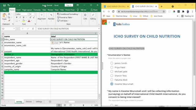 Hands-On ODK,XLSForm,KoboToolbox,Digital Surveys Masterclass – Screenshot 2