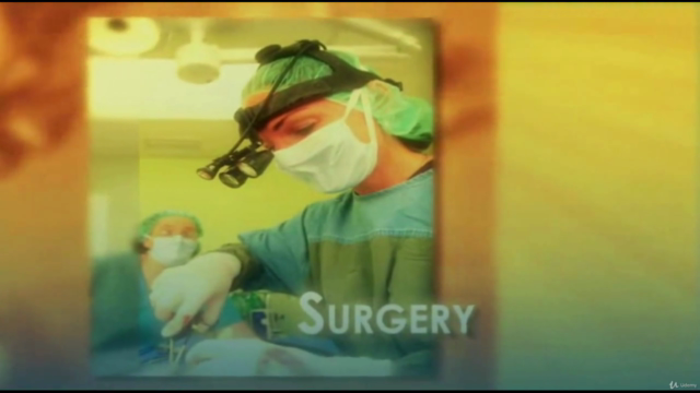 Canine (and Feline) Rehabilitation for Spinal Injury/Surgery – Screenshot 2