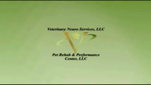 Canine (and Feline) Rehabilitation for Spinal Injury/Surgery – Screenshot 4