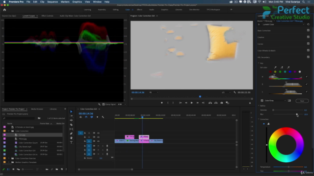 Adobe Premiere Pro CC for Beginners - Master Adobe Premiere – Screenshot 2