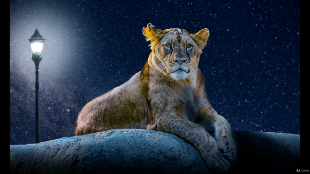 5 Derste Photoshop | Temel Seviye – Screenshot 2