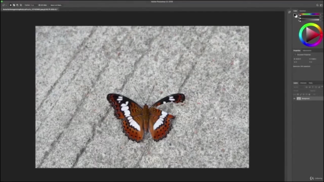 Getting Started with Adobe Illustrator for beginner – Screenshot 1