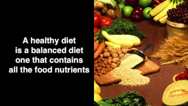 Nutrition and Diet Management – Screenshot 3