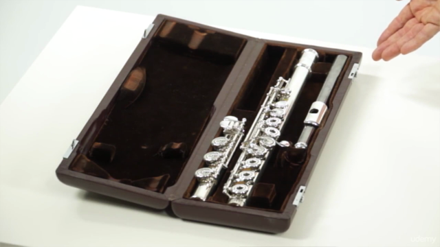 Learn to Play the Flute: Beginner Basics to Intermediate – Screenshot 1