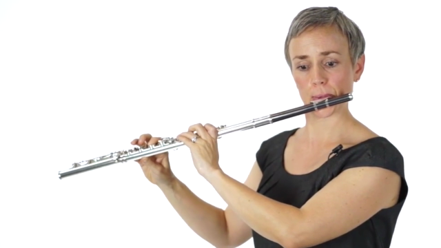 Learn to Play the Flute: Beginner Basics to Intermediate – Screenshot 4