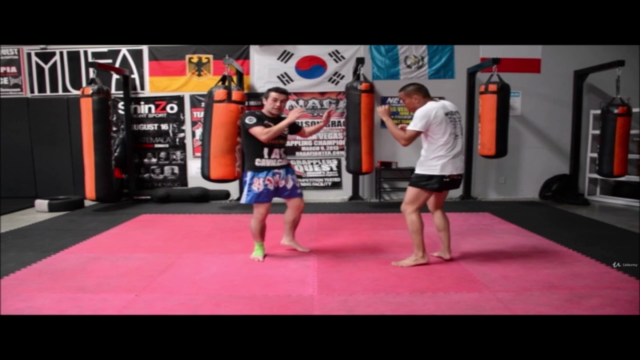 The Front Kick Master-course – Screenshot 1
