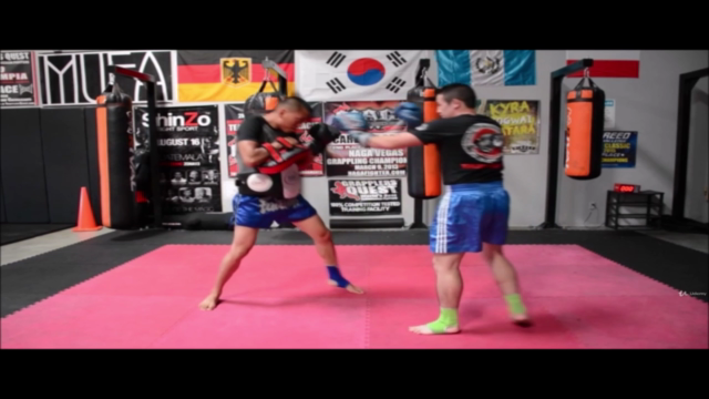 The Front Kick Master-course – Screenshot 2