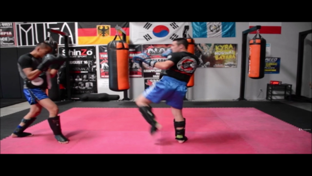 The Front Kick Master-course – Screenshot 4