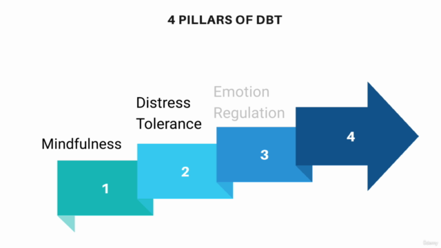 Dialectical Behavioral Therapy (DBT): The Complete Course – Screenshot 2