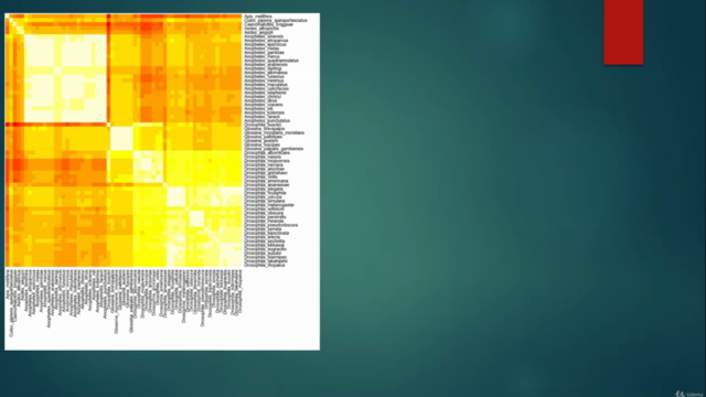 Creating Heatmaps and Clustering in R – Screenshot 4