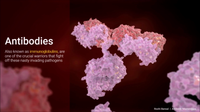 Biotechnology: Antibodies & their role in Therapeutics - Screenshot_01