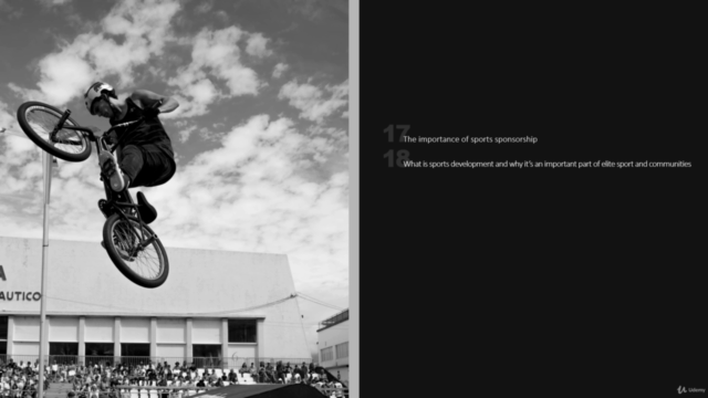 Sports Management: The Essentials Course – Screenshot 3