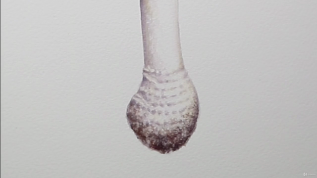 Paint Realistic Watercolor and Botanicals - TOADSTOOLS – Screenshot 4