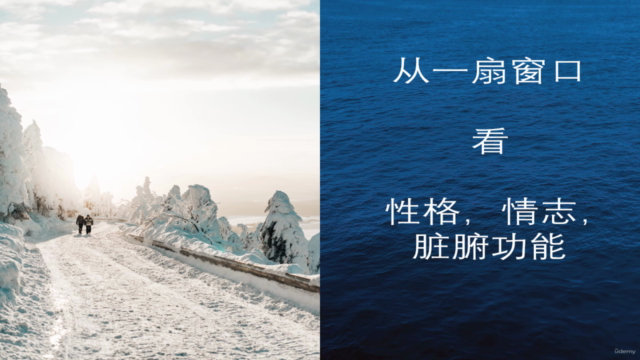 从一扇窗口看性格,情志,脏腑功能 – Screenshot 1