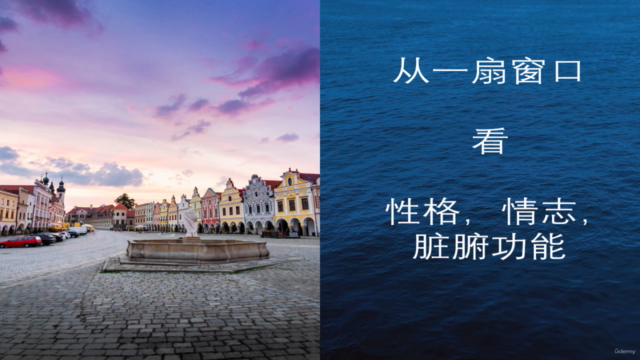 从一扇窗口看性格,情志,脏腑功能 – Screenshot 4