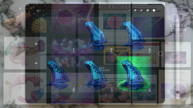 Procreate Essentials: Paint a Blue Dart Frog – Screenshot 1