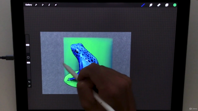 Procreate Essentials: Paint a Blue Dart Frog – Screenshot 4