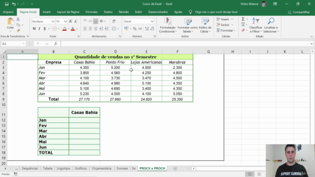 Curso de Excel do Básico ao Avançado – Screenshot 3