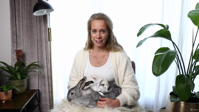 Dieren fotografie voor beginners - Een A-z gids! – Screenshot 1