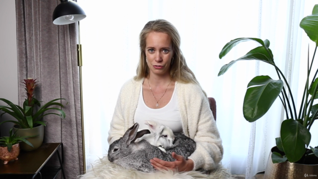 Dieren fotografie voor beginners - Een A-z gids! – Screenshot 2