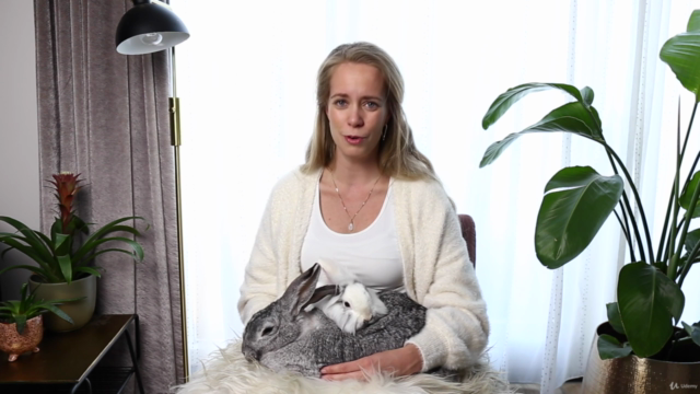 Dieren fotografie voor beginners - Een A-z gids! – Screenshot 3