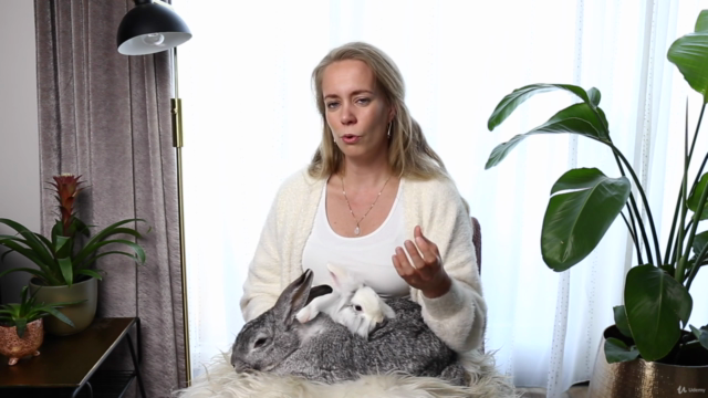 Dieren fotografie voor beginners - Een A-z gids! – Screenshot 4
