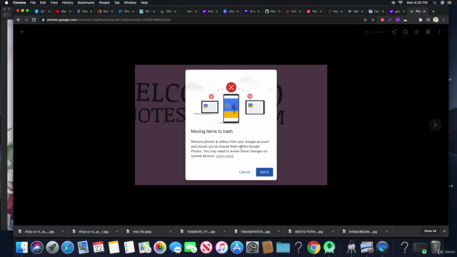 How to Use Google Photos - Beginner's Guide – Screenshot 2