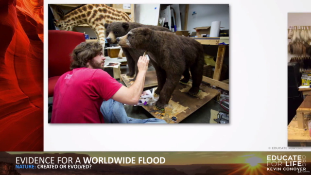 102: Evidence for a Worldwide Flood – Screenshot 3