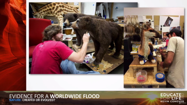 102: Evidence for a Worldwide Flood – Screenshot 4