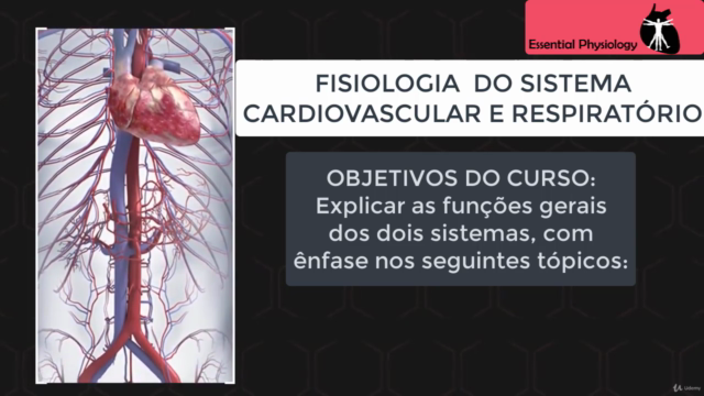 Fisiologia do Sistema Cardiorrespiratório – Screenshot 2