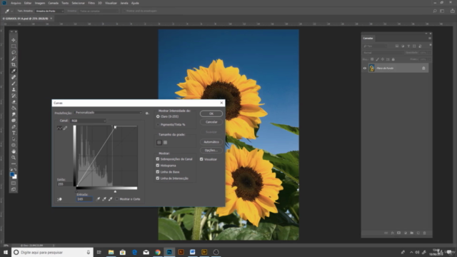 Photoshop, como tratar e transformar uma imagem – Screenshot 1