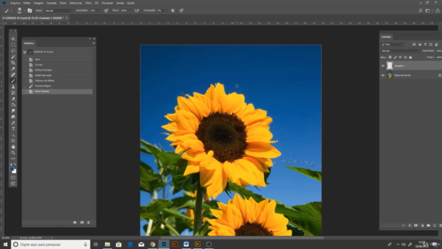 Photoshop, como tratar e transformar uma imagem – Screenshot 3