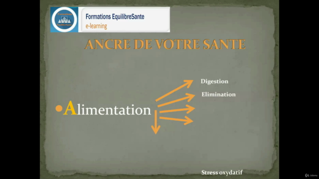Naturopathie cours n°1 - Alimentation et Santé – Screenshot 4