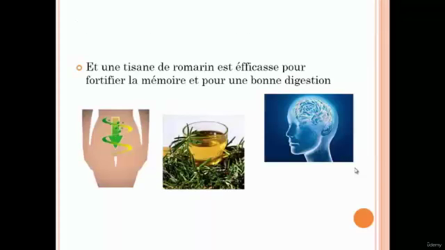Les activités biologiques des plantes médicinales – Screenshot 2