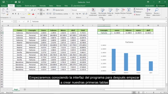 Curso de Excel Online Completo: De Básico a Profesional – Screenshot 1