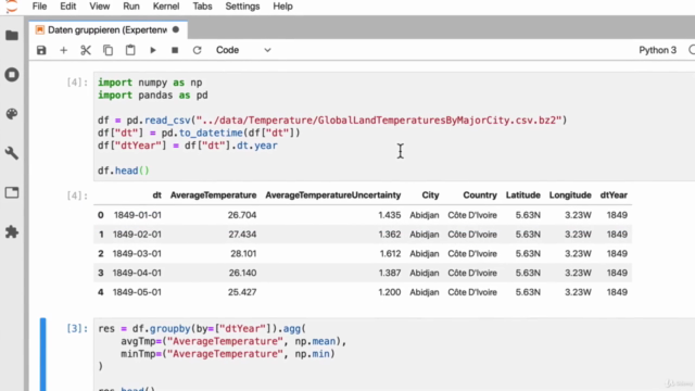 Der ultimative Python-Kurs für Data Science, ML & AI – Screenshot 2