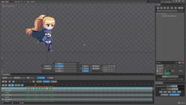 Spine PRO: A Complete 2D Character Animation Guide - Screenshot_01
