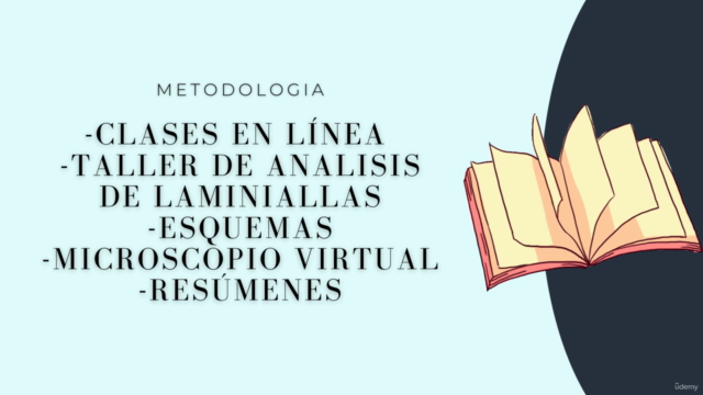 Histología Humana Básica – Screenshot 2
