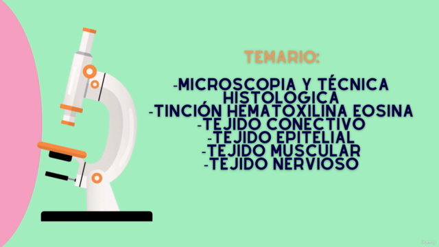 Histología Humana Básica – Screenshot 3