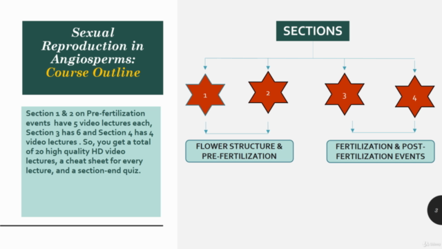 Reproduction in Flowering Plants: All You Need to Know – Screenshot 2