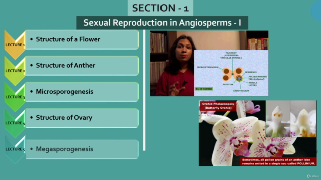Reproduction in Flowering Plants: All You Need to Know – Screenshot 3