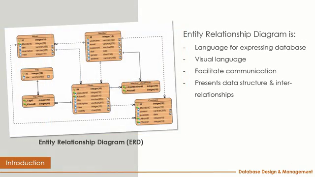 Database Design and Management - Screenshot_02